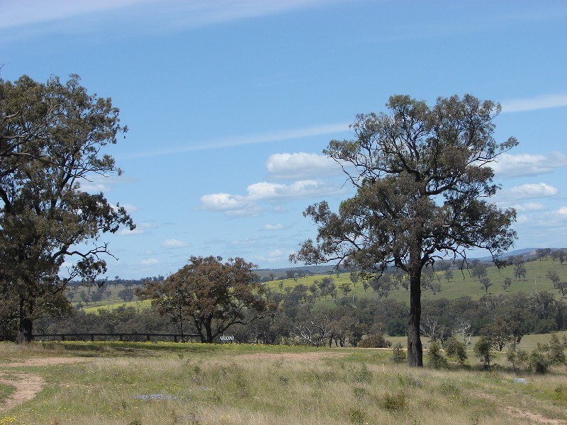 Lot 115, Lot 115 Ironbark Road, Muswellbrook NSW 2333