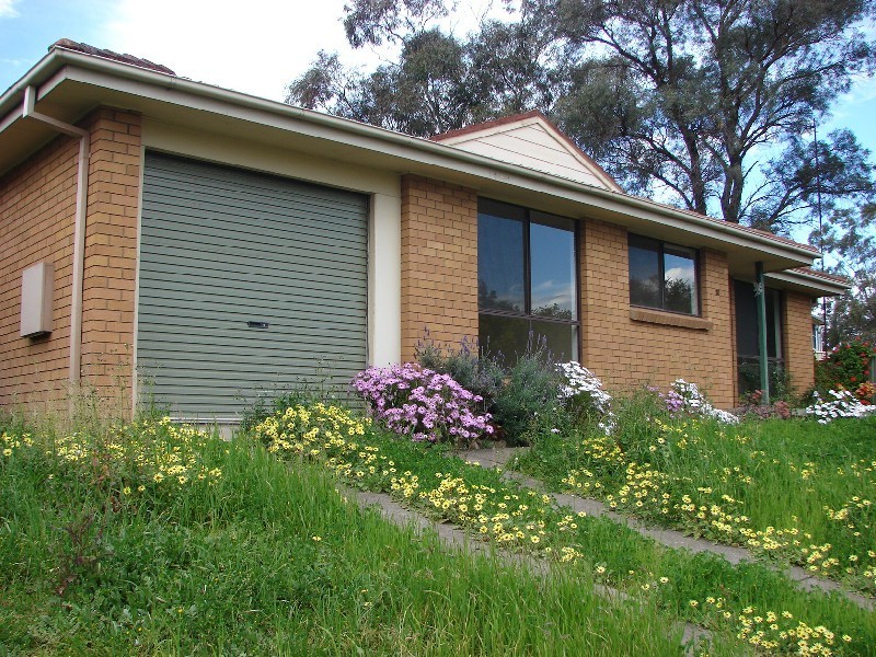 10 Chenin Close, Muswellbrook NSW 2333