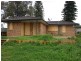 48 Wollombi Road, Muswellbrook NSW 2333