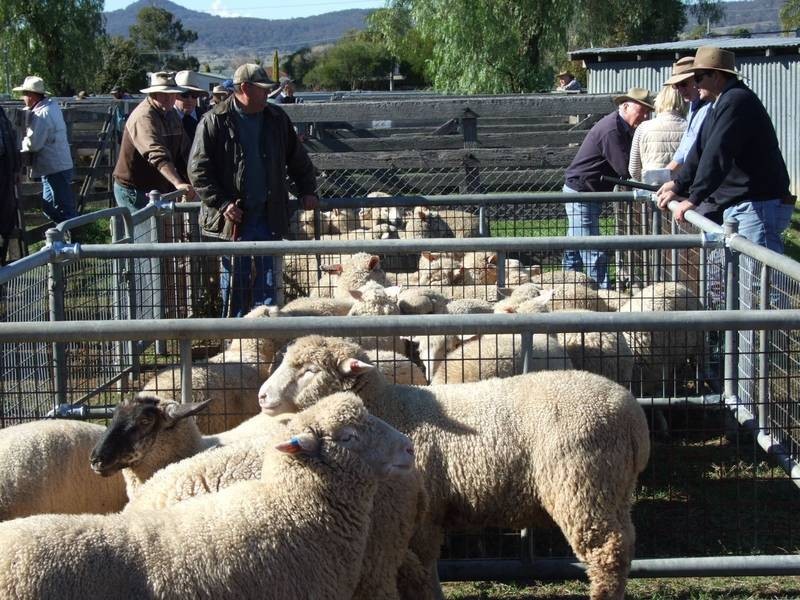 Corner Virginia & Martindale, Denman NSW 2328