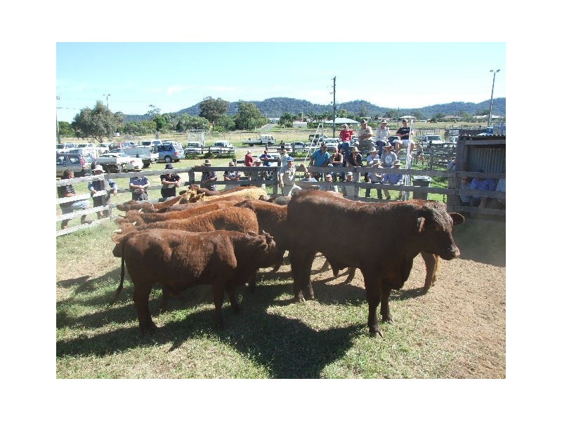 Corner Virginia & Martindale, Denman NSW 2328