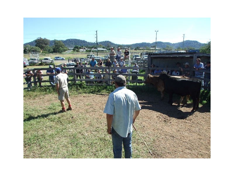 Corner Virginia & Martindale, Denman NSW 2328