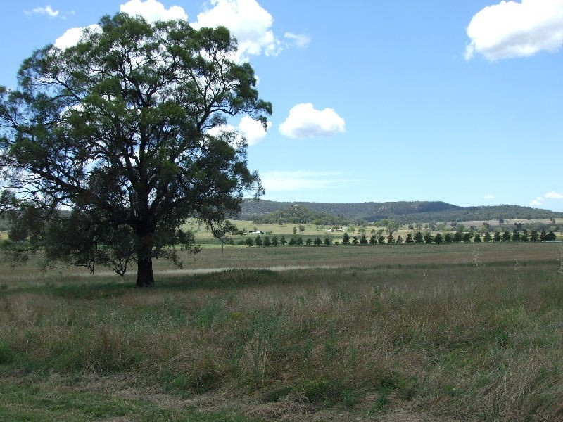 537 Westwood Road, Gungal NSW 2333