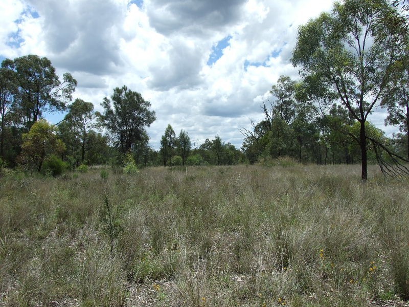 537 Westwood Road, Gungal NSW 2333