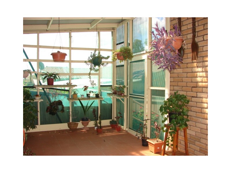 39 Acacia Drive, Muswellbrook NSW 2333