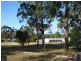 29 Ruth White Ave, Muswellbrook NSW 2333
