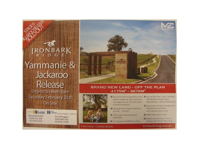 Lot 600,  Jillaroo Way, Muswellbrook NSW 2333