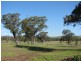 Lot 600,  Jillaroo Way, Muswellbrook NSW 2333
