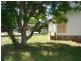 16 Ruth White Ave, Muswellbrook NSW 2333