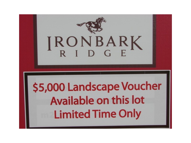 Lot 216, 41 Ironbark Road, Muswellbrook NSW 2333