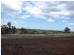 Lot 216, 41 Ironbark Road, Muswellbrook NSW 2333