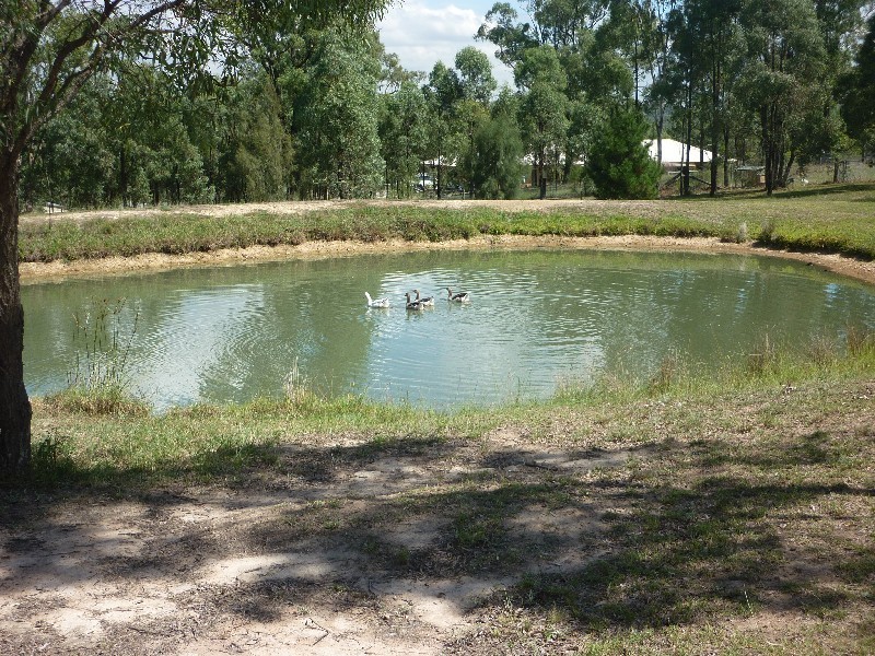 106 Woodlands Ridge Road, Muswellbrook NSW 2333