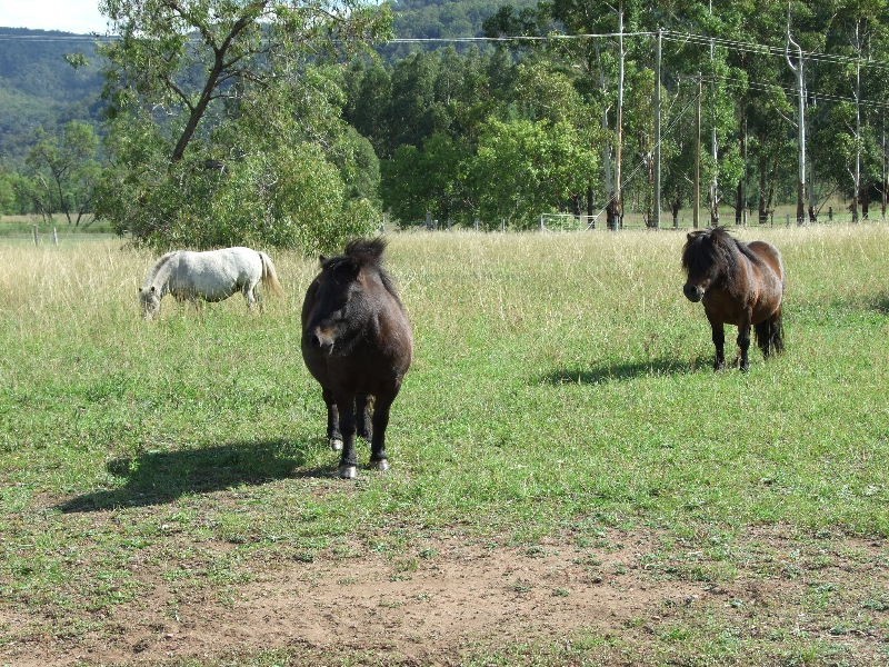 343 Inlet Rd, Bulga NSW 2330