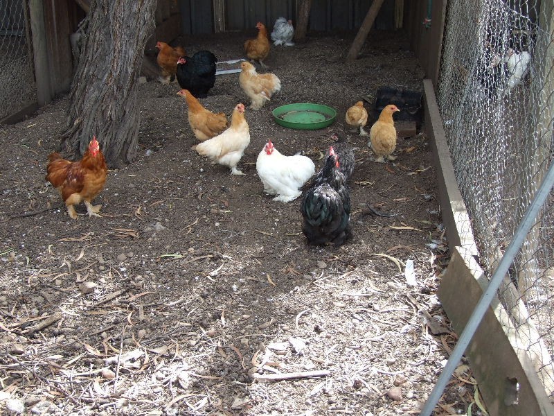 343 Inlet Rd, Bulga NSW 2330