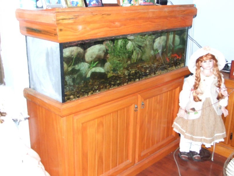 343 Inlet Rd, Bulga NSW 2330