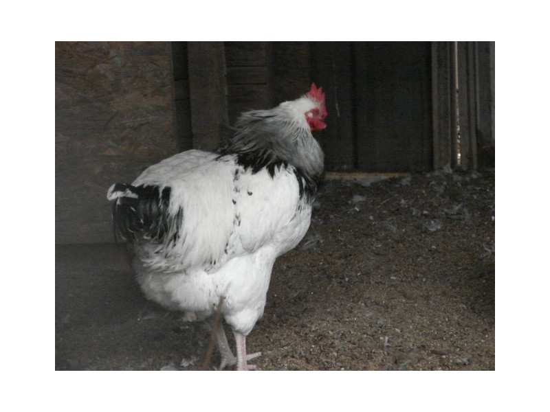 343 Inlet Rd, Bulga NSW 2330