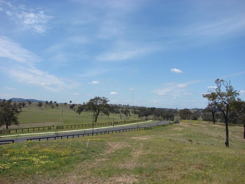 Lot 116, 97 Ironbark Road, Muswellbrook NSW 2333