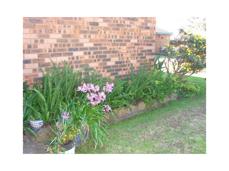 13 Casuarina Close, Muswellbrook NSW 2333