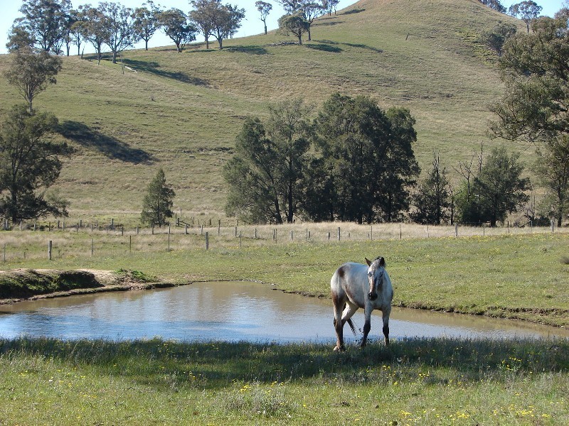 129 Beggary Creek Road, Muswellbrook NSW 2333