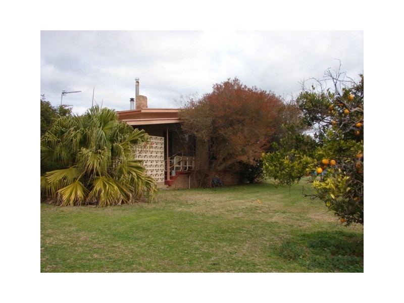83 St Andrew Street, Aberdeen NSW 2336