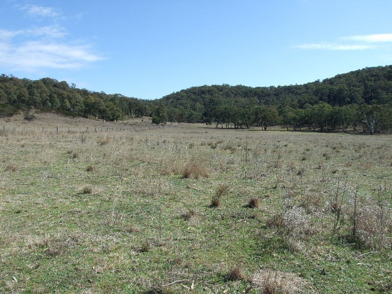 292 Tunbridge Road, Merriwa NSW 2329