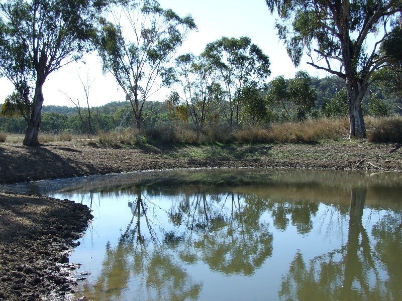 292 Tunbridge Road, Merriwa NSW 2329