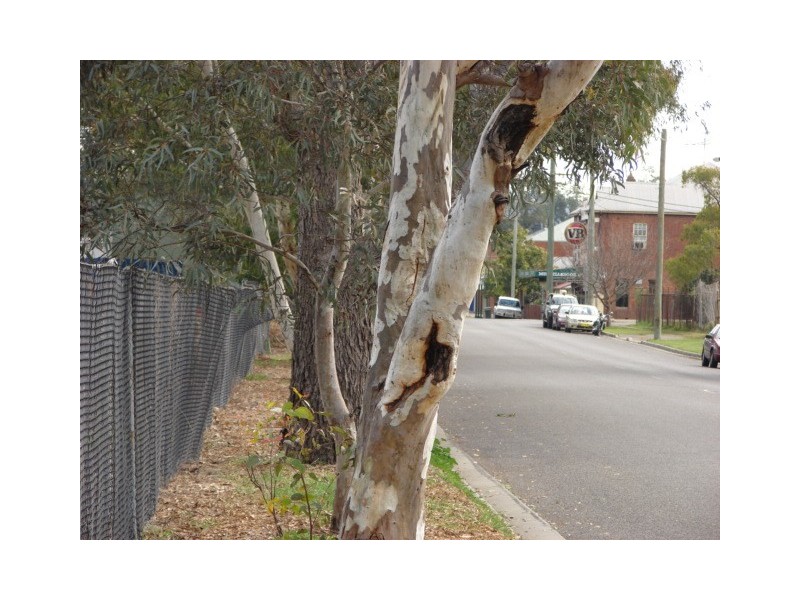 Lt2 Victoria Street, Muswellbrook NSW 2333