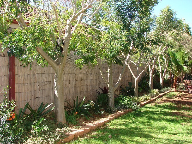 115 Queen Street, Muswellbrook NSW 2333