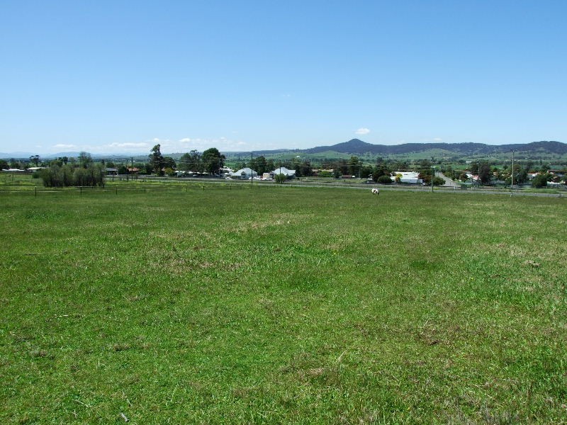 51 Almond Street, Denman NSW 2328