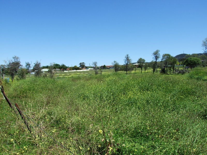 51 Almond Street, Denman NSW 2328