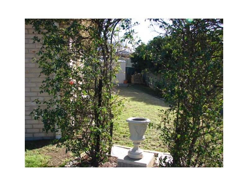 13 Grevillea Street, Muswellbrook NSW 2333