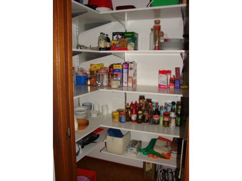 99 Shiraz Street, Muswellbrook NSW 2333