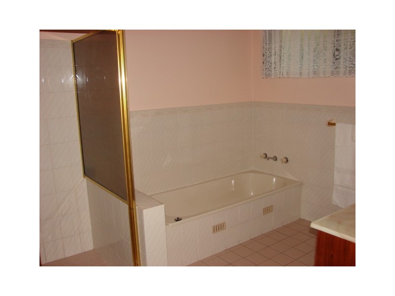 99 Shiraz Street, Muswellbrook NSW 2333