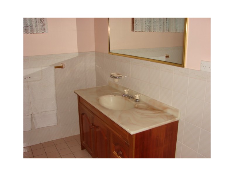 99 Shiraz Street, Muswellbrook NSW 2333