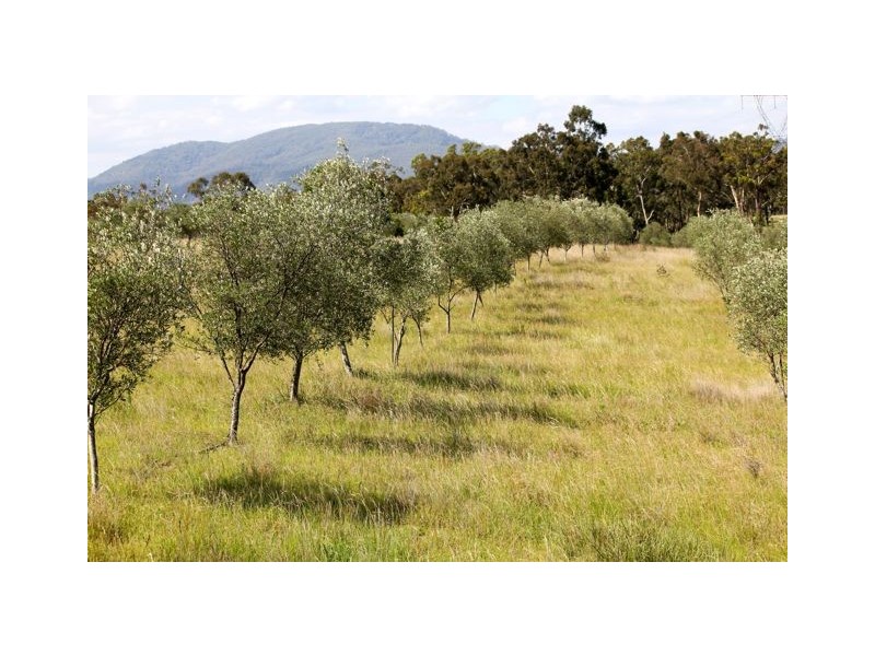 8852 New England Highway, Muswellbrook NSW 2333