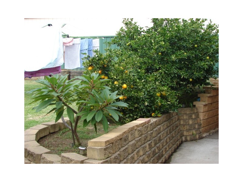 5 Peppermint Road, Muswellbrook NSW 2333