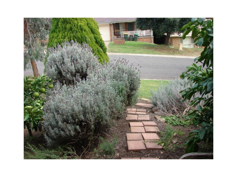5 Peppermint Road, Muswellbrook NSW 2333