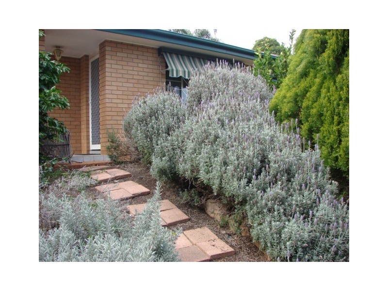 5 Peppermint Road, Muswellbrook NSW 2333