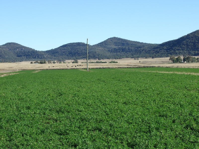 828 Bylong Valley Way, Baerami NSW 2333