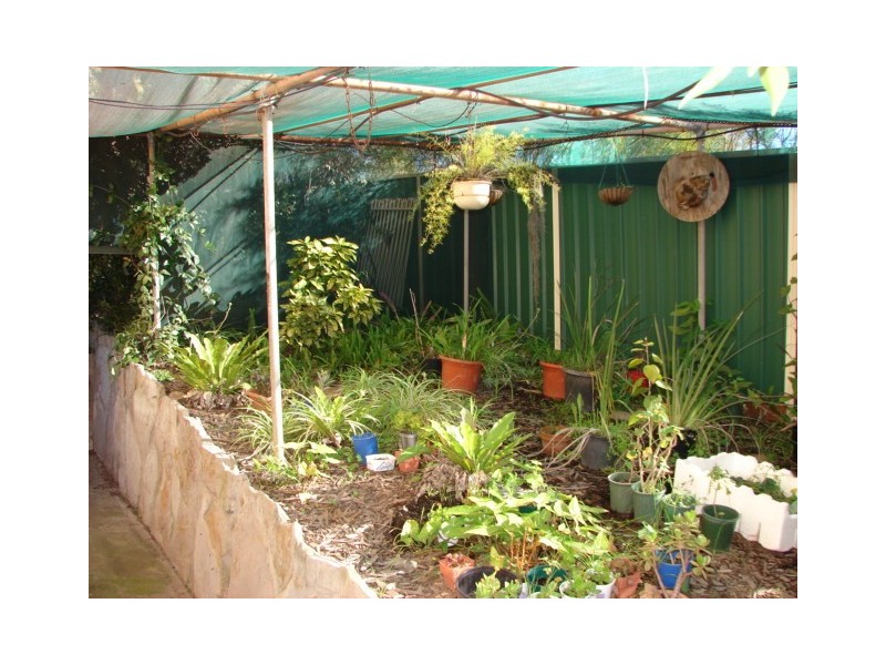 47 Woollybutt Way, Muswellbrook NSW 2333