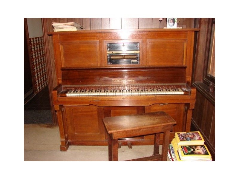 24 Foley Street, Muswellbrook NSW 2333