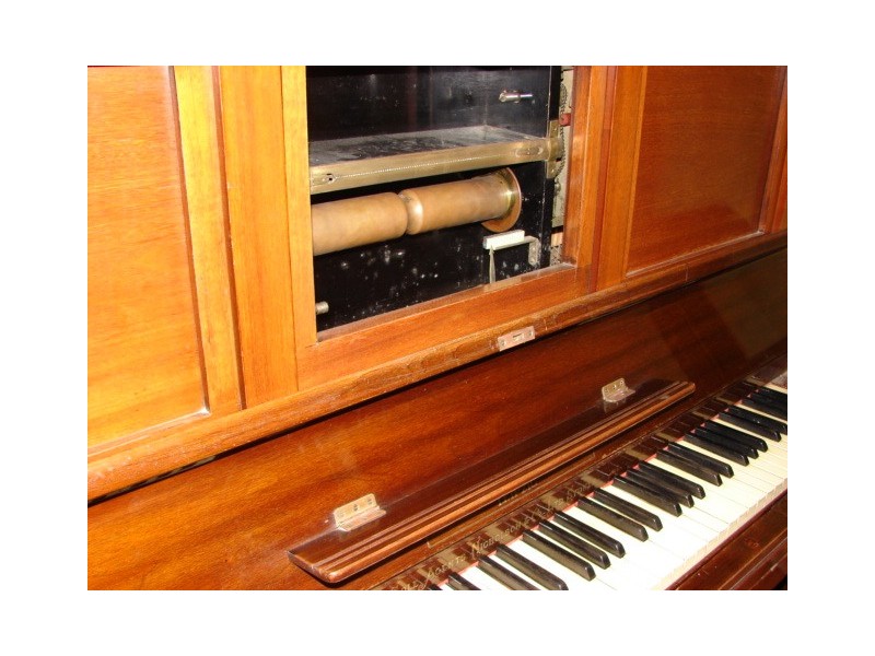 24 Foley Street, Muswellbrook NSW 2333