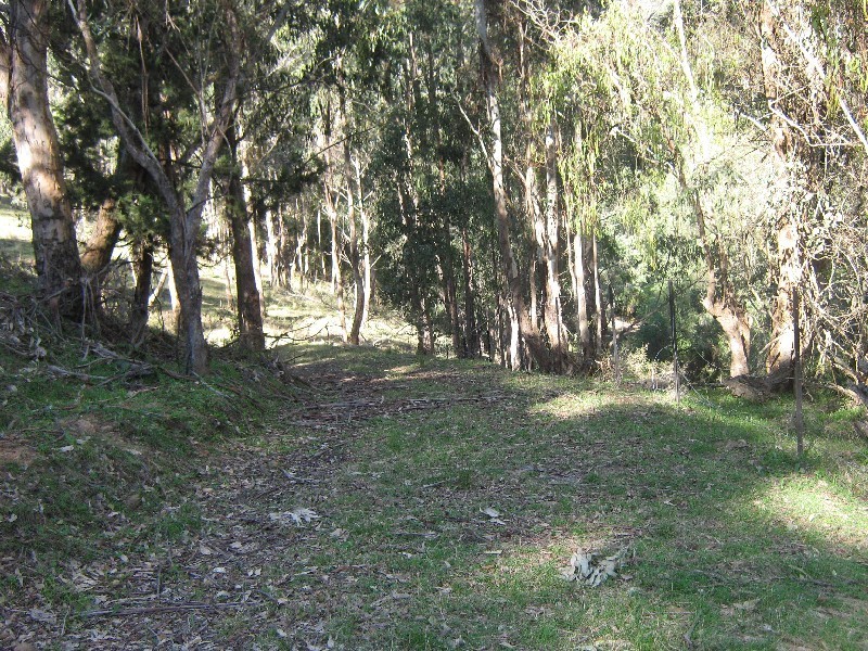 2169 Stewarts Brook Road, Stewarts Brook NSW 2337