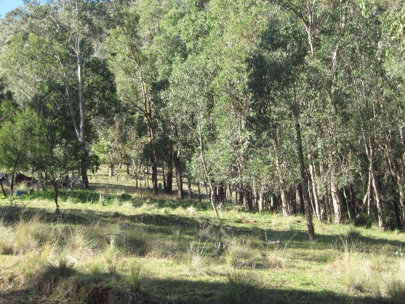 2169 Stewarts Brook Road, Stewarts Brook NSW 2337