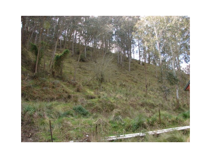 2169 Stewarts Brook Road, Stewarts Brook NSW 2337