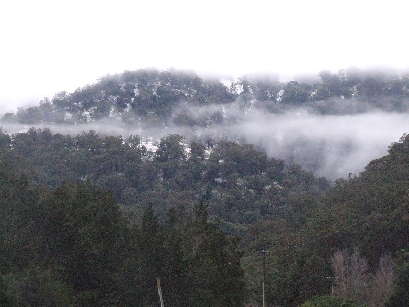 2169 Stewarts Brook Road, Stewarts Brook NSW 2337