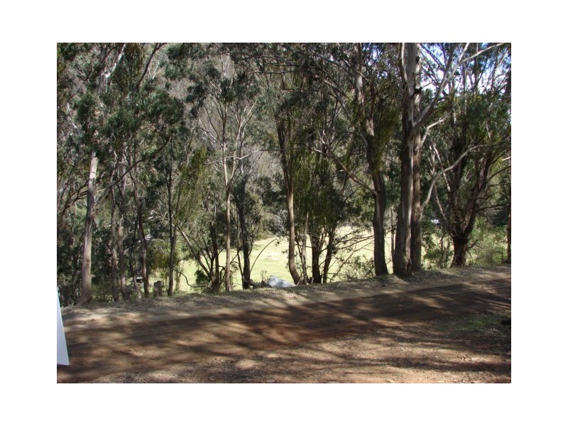 2169 Stewarts Brook Road, Stewarts Brook NSW 2337