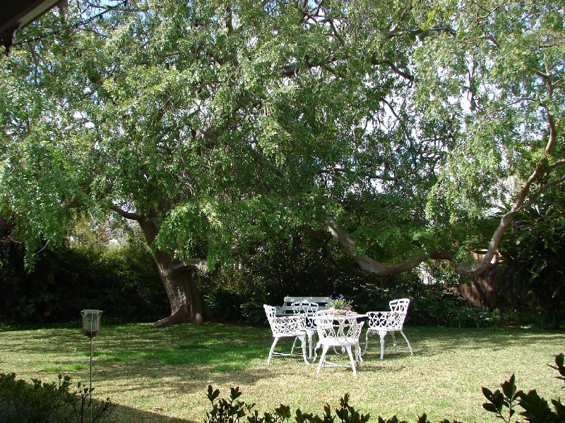 23 Cook Street, Muswellbrook NSW 2333