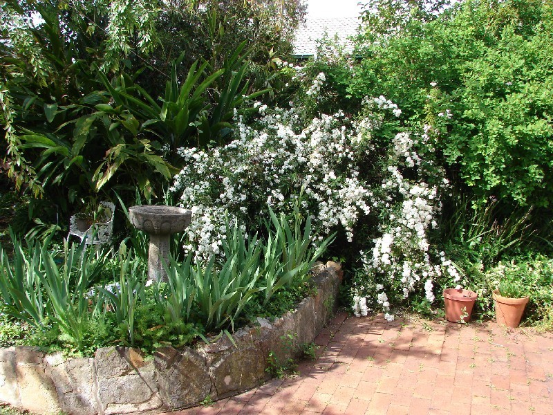 23 Cook Street, Muswellbrook NSW 2333