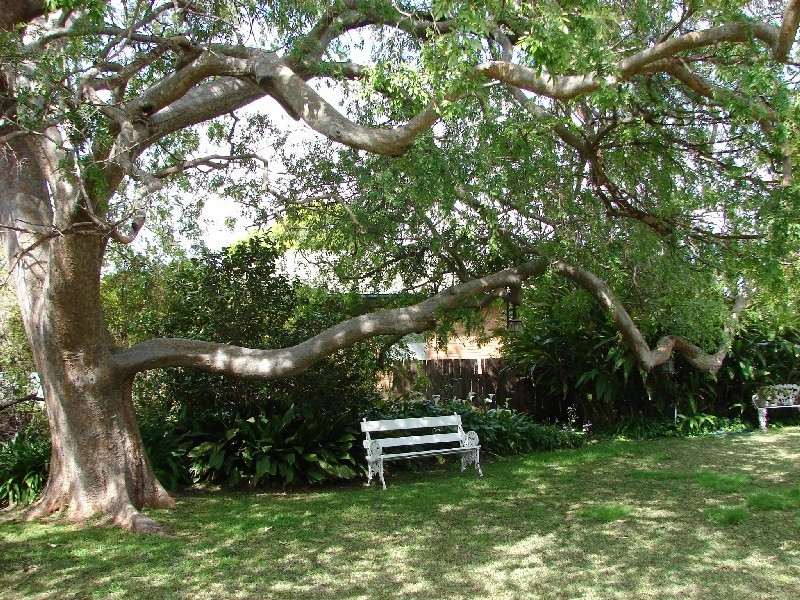 23 Cook Street, Muswellbrook NSW 2333